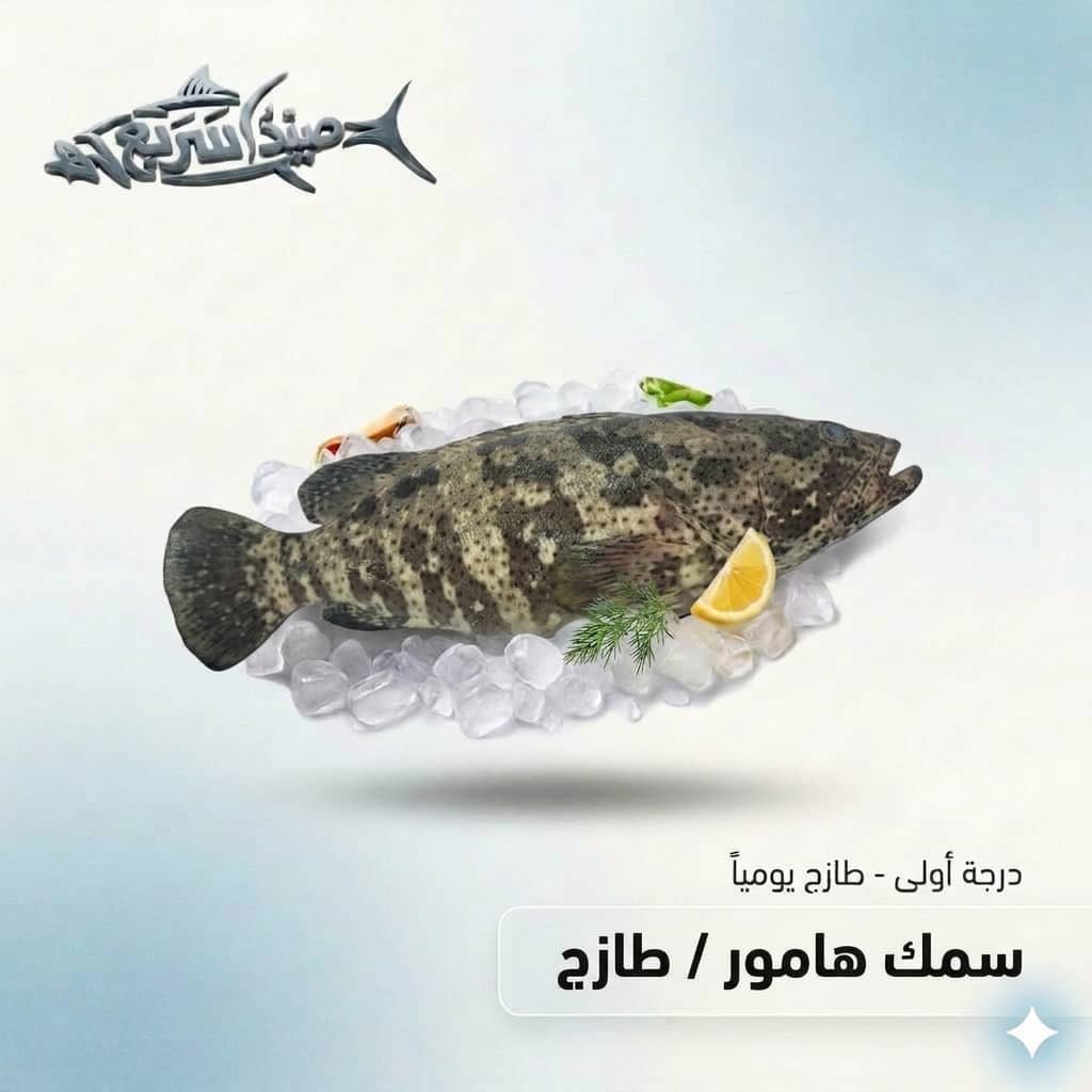 سمك هامور كامل