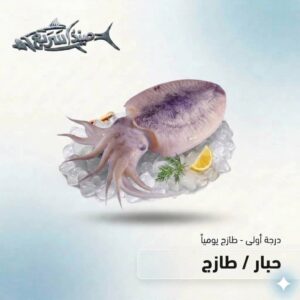 حبار