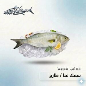 سمك غناء كامل