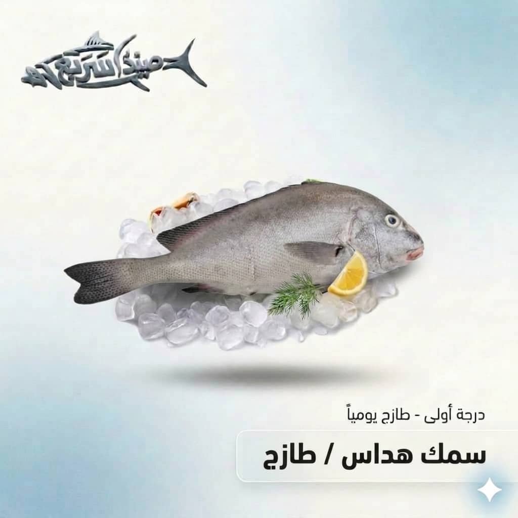 سمك هداس كامل