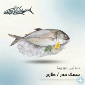 سمك حدر كامل