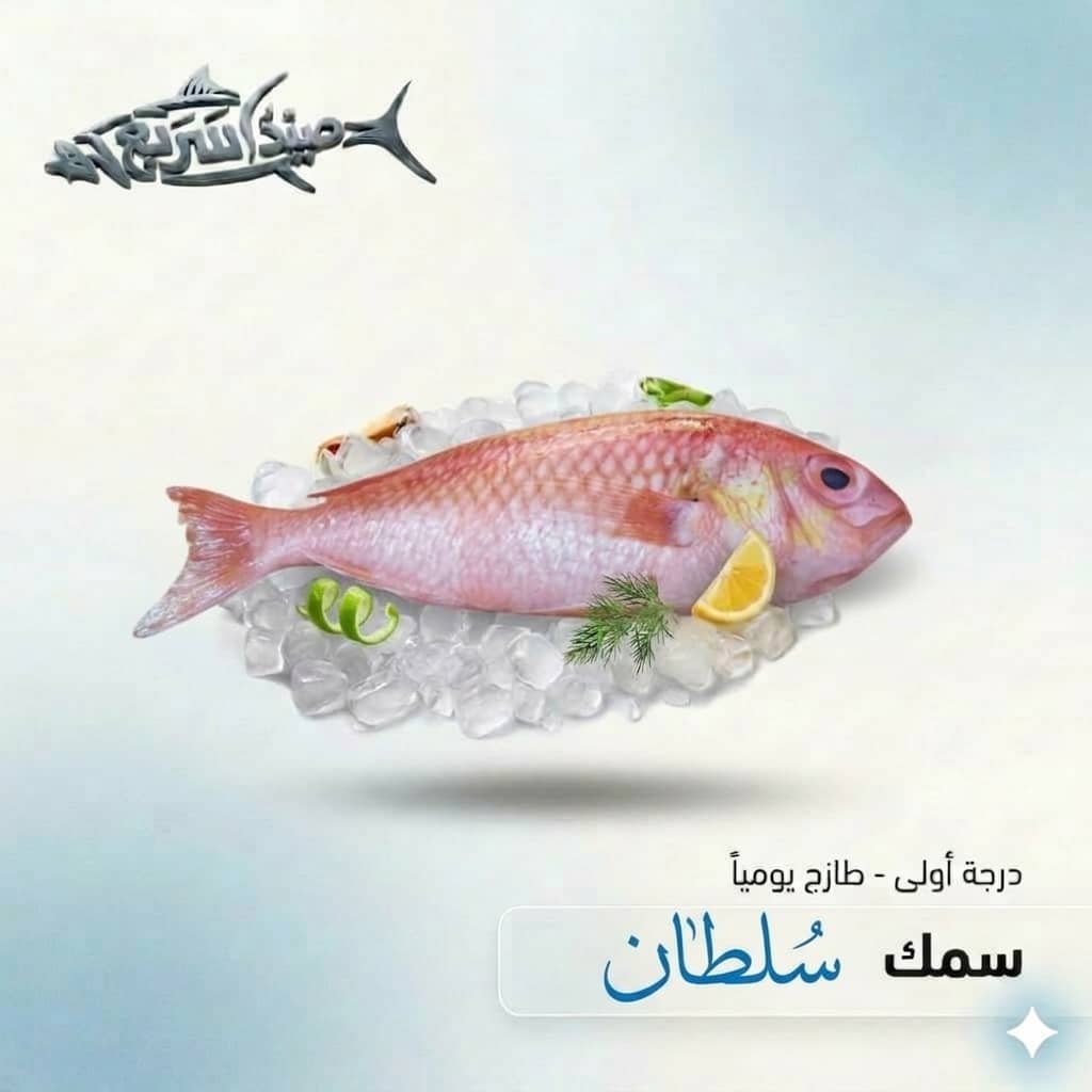 سمك سلطان كامل