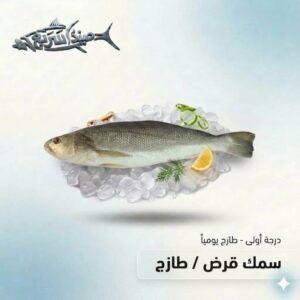 سمك قرض كامل