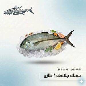 سمك جلاعف كامل