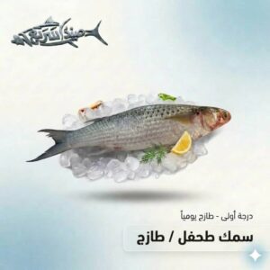 سمك طحفل كامل