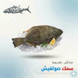 سمك صولفيش كامل